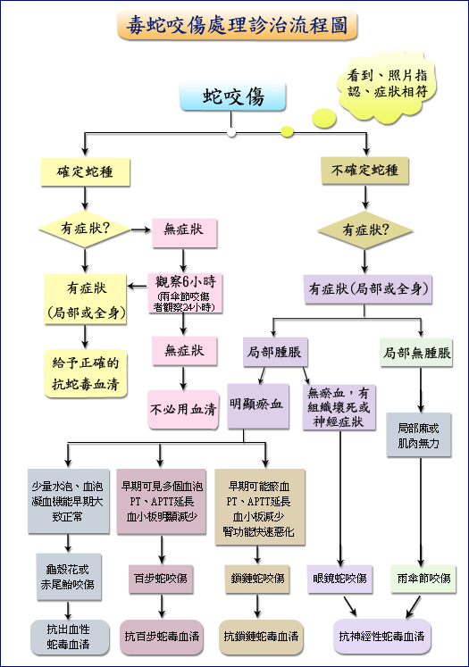 衛生福利部全國解毒劑儲備網:簡介與血清使用注意事項